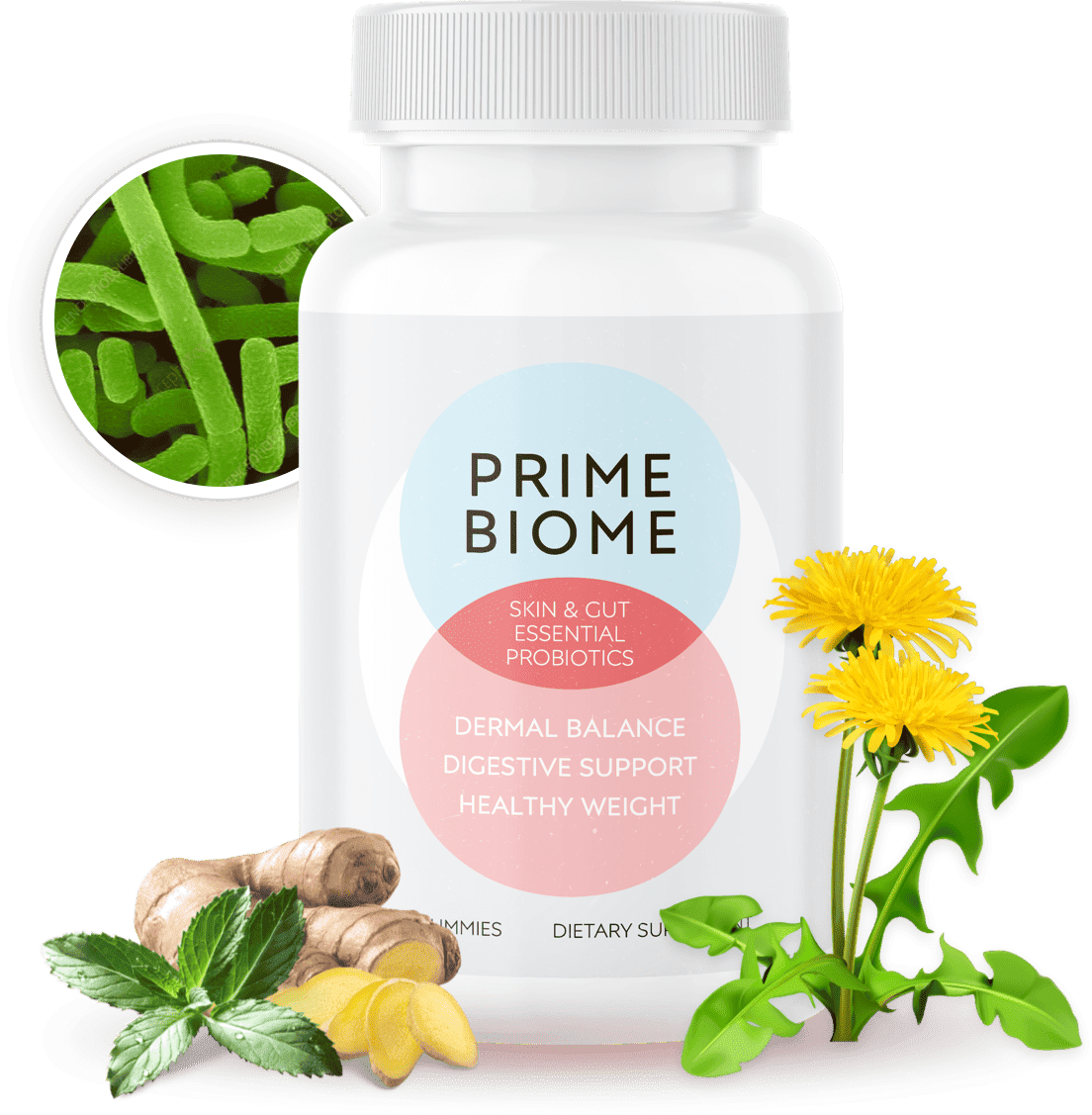 PrimeBiome probiotic gummy bottle surrounded by dandelion, ginger and fresh botanical ingredients