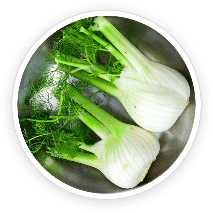 Fennel seeds